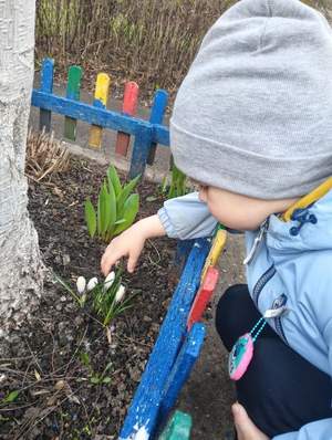 Наблюдение за природой на прогулке