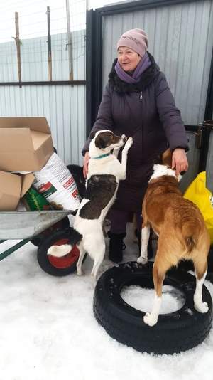 Посещение приюта для собак 10.01.2025