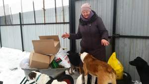 Посещение приюта для собак 10.01.2025