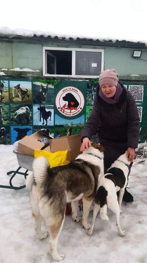 Посещение приюта для собак 10.01.2025